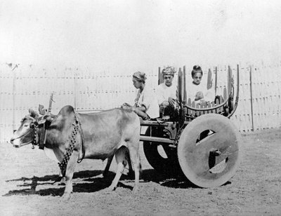 Carrozza birmana, c.1870-80 da Felice Beato